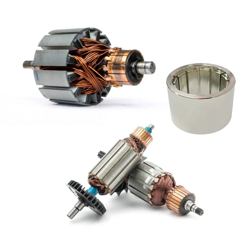 customized Magnetic Rotor