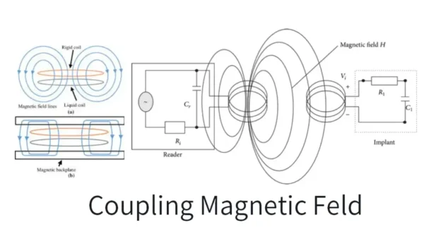 Magnetic-field-of-magnetic-coupling